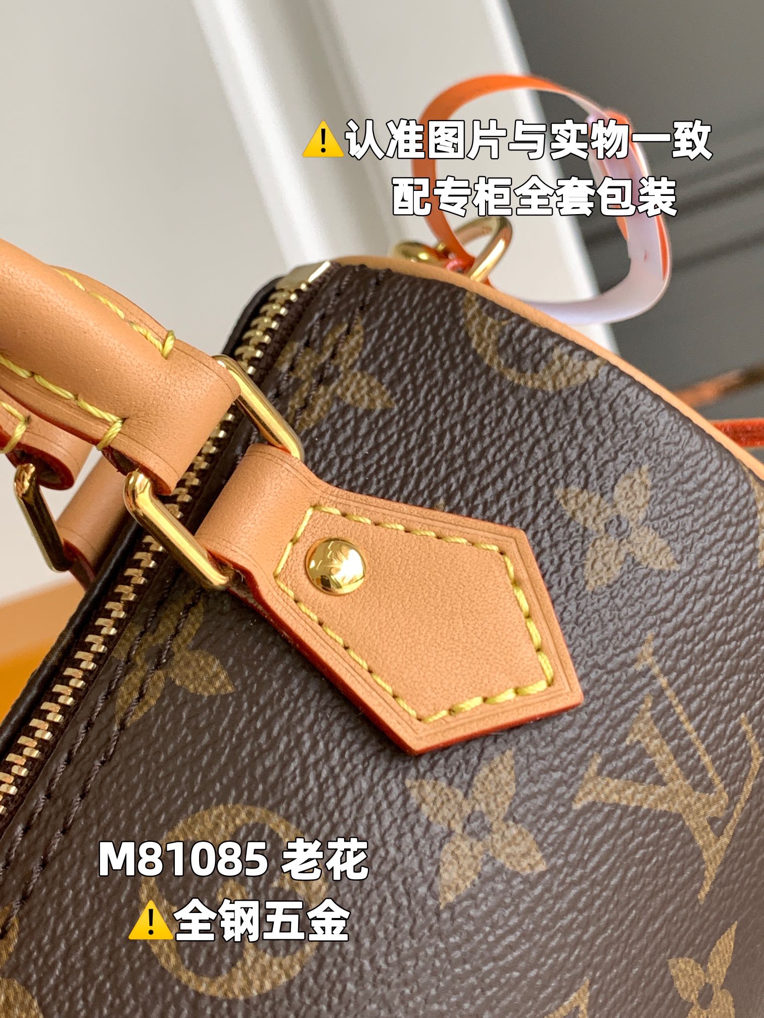 LV Speedy Bags